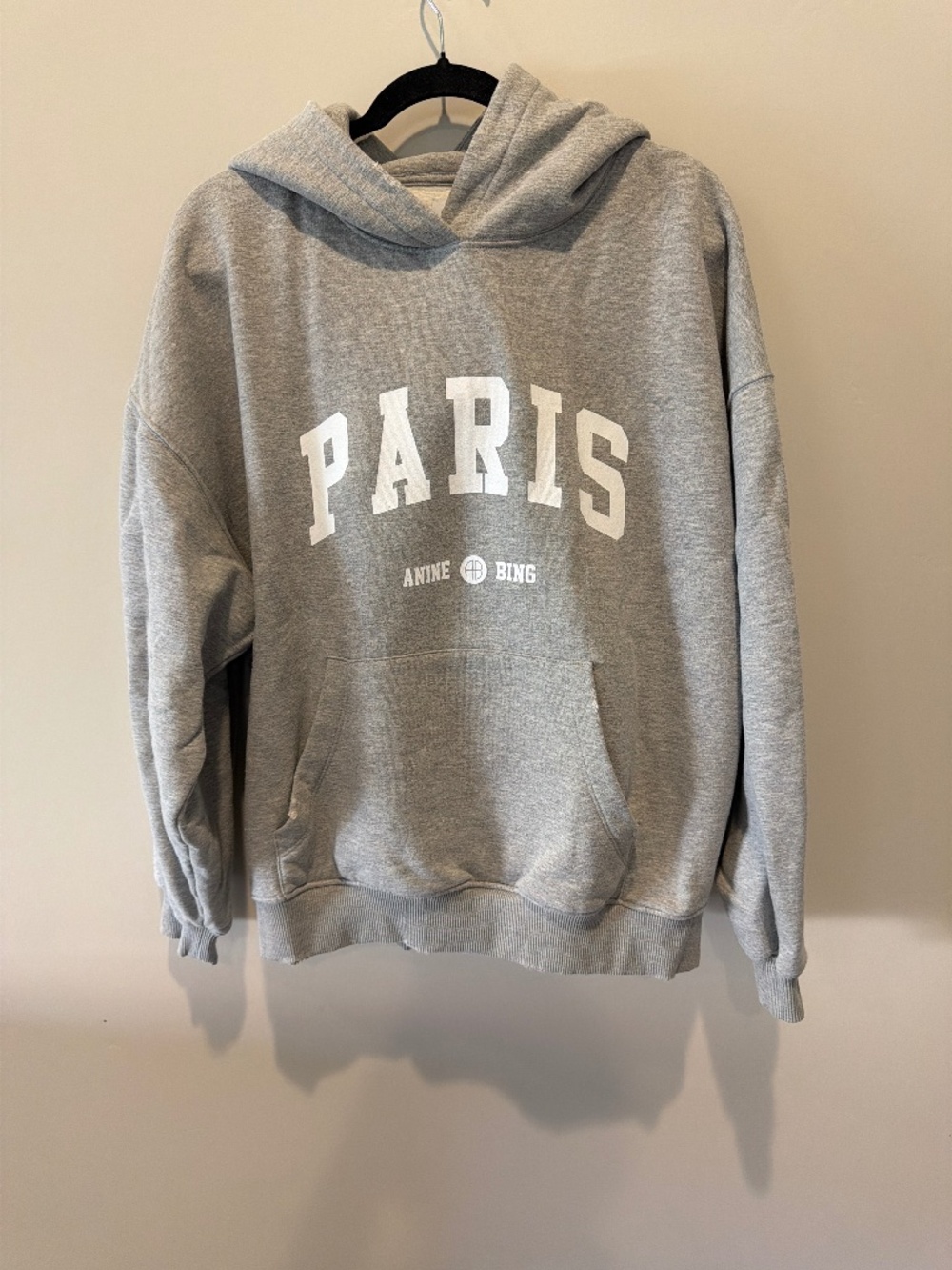 Anine Bing Paris Hoodie Size L